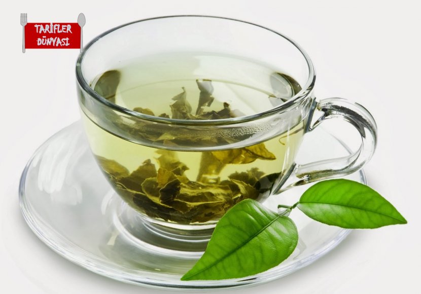Green Tea Mate Cocido Matcha - Yerba - Mint Transparent PNG
