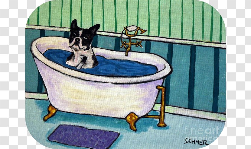 'boston Terrier Bath' Painting Print On Wrapped Canvas HomeGoods Baths - Play - BOSTON TERRIER Transparent PNG