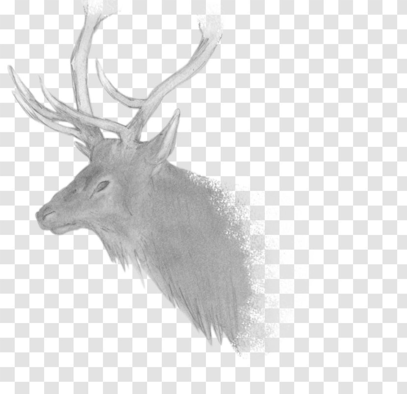 Elk Reindeer Antler Fauna Black - Monochrome Photography Transparent PNG