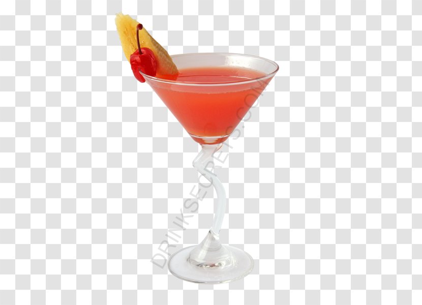 Cocktail Garnish Martini Sea Breeze Cosmopolitan - SHOTS DRINKS Transparent PNG