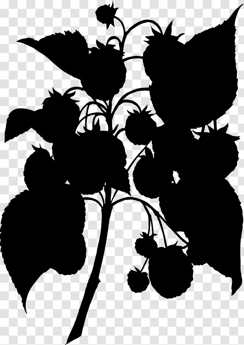 Grape Clip Art Silhouette Pattern Flower - Leaves Transparent PNG