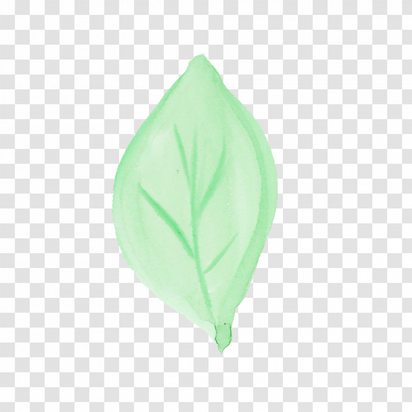 Green Leaf Plant Petal Morning Glory Transparent PNG