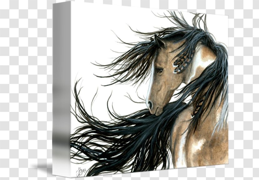 Mustang American Paint Horse Friesian Indian Stallion - Tack Transparent PNG
