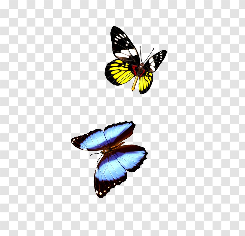 Monarch Butterfly - Body Jewelry Transparent PNG