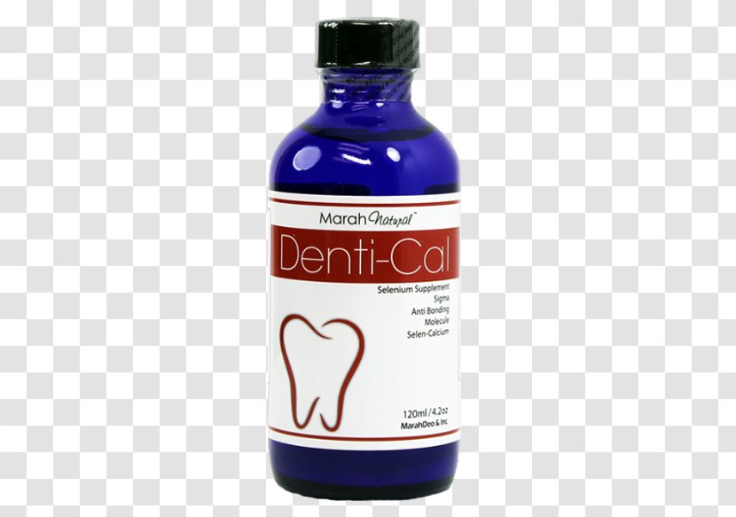 Dentistry Tooth Health Bone Vitamin - Care Transparent PNG