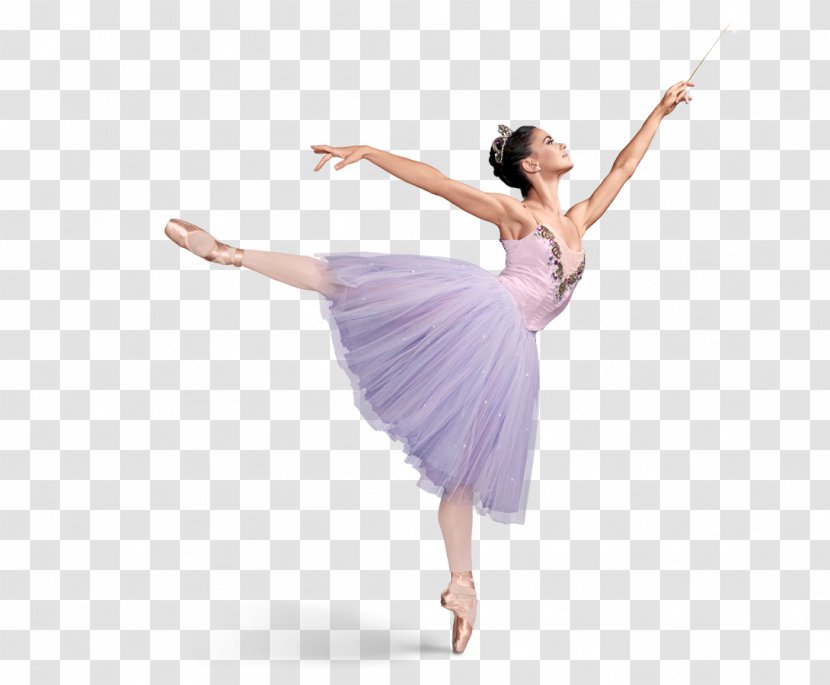 The Nutcracker Ballet Dancer Tutu - Cartoon - Ballerina Transparent PNG