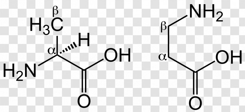 Proteinogenic Amino Acid Arginine Gamma-Aminobutyric - Rectangle - Betahydroxybutyric Transparent PNG