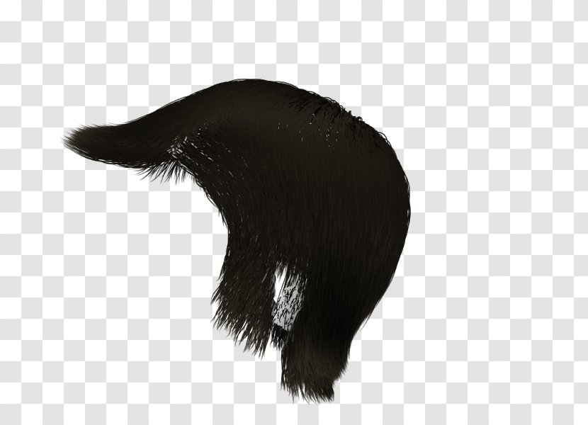 Mammal Fur Carnivora Animal Wildlife - Men's Wig Transparent PNG
