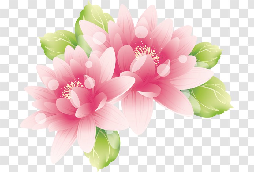 Pink Flowers Wallpaper - Flowering Plant - Vector Painting Lotus Transparent PNG