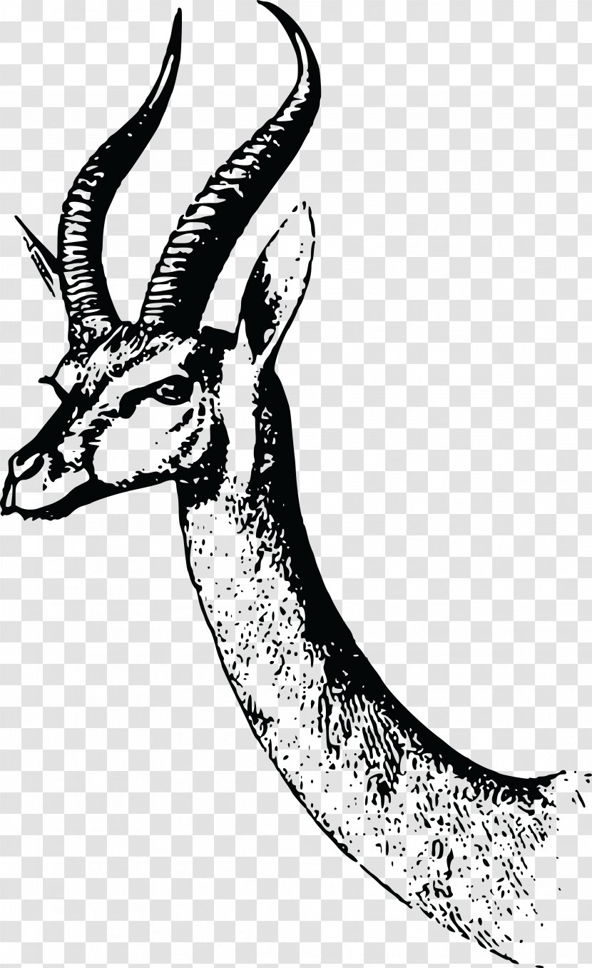 Waller Gazelle Antelope T-shirt - Neck Transparent PNG