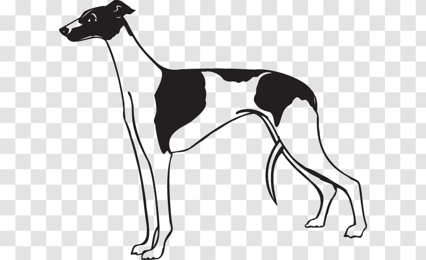 Sticker Wall Decal Paper Adhesive - Dog - Whippet Transparent PNG