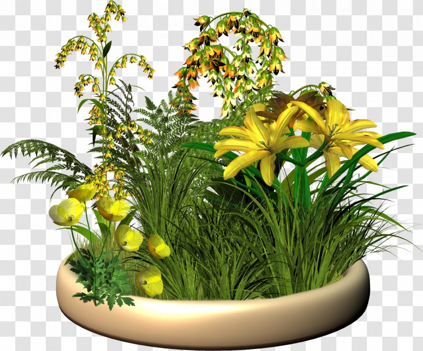 Flower Clip Art - Gazania Transparent PNG