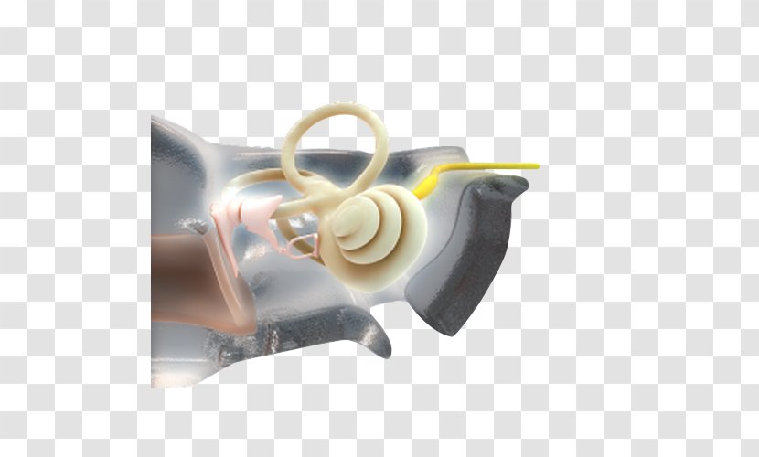 Plastic Computer Hardware - Middle Ear Transparent PNG