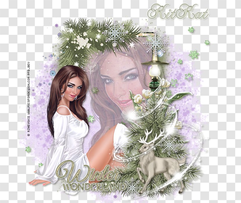 Floral Design Christmas Ornament Fairy - Frame - Winter Tutorial Transparent PNG