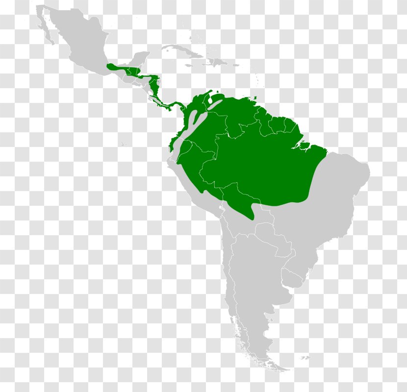 Latin America South United States Cultural Region - Country Transparent PNG