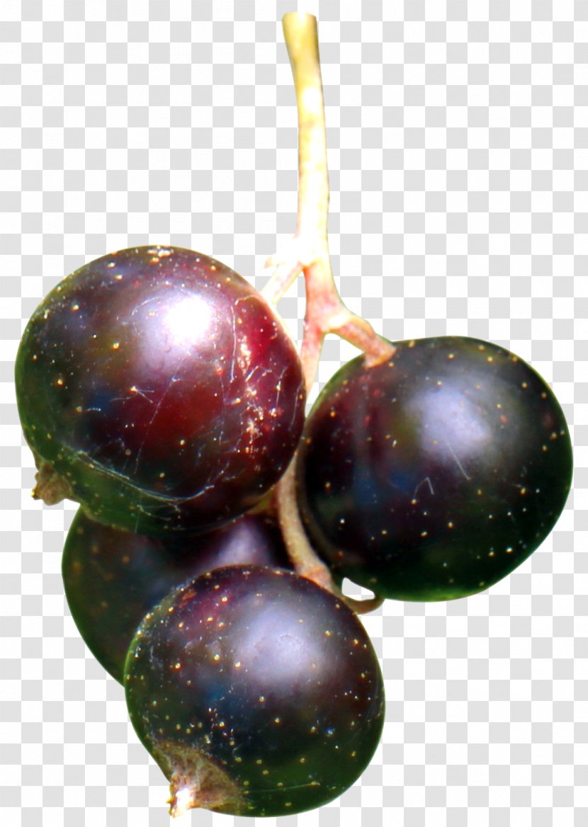 Blackcurrant Frutti Di Bosco Grape Fruit - Apple - Black Currant Berries Transparent PNG