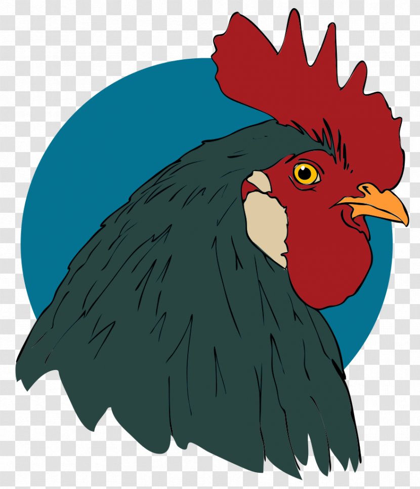 Rooster Drawing Turkey Animation Clip Art - Mike The Headless Chicken Transparent PNG