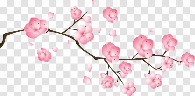 Blossom Pink Drawing - Floral Design - Vector Peach Flowers Transparent PNG