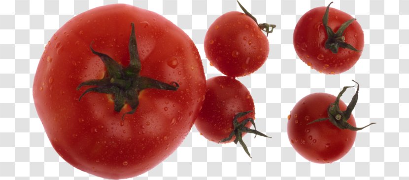 Plum Tomato Bush Soup Food Transparent PNG