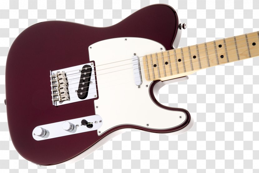 Fender Telecaster Stratocaster James Burton Standard - Tree - Musical Instruments Transparent PNG