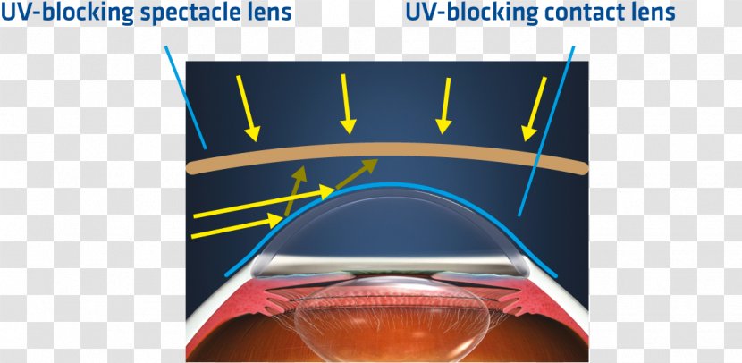 Johnson & Contact Lenses Ultraviolet Glasses - Goggles Transparent PNG