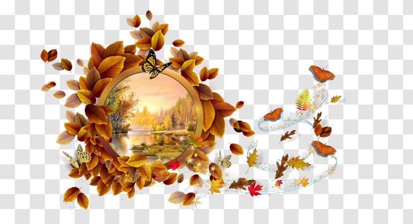 Picture Frames Photography Android - Autumn Transparent PNG