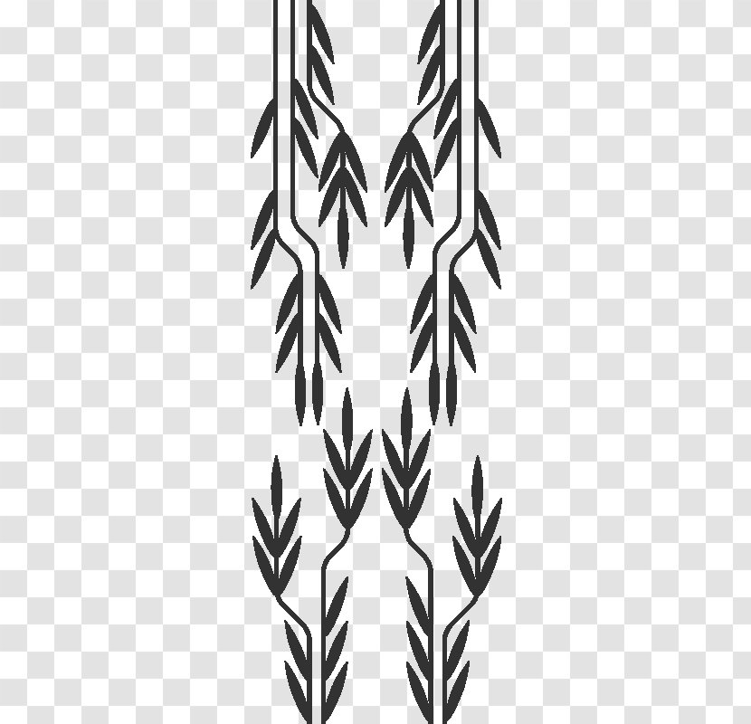 Leaf White Line Art Symmetry Flowering Plant - Tree Transparent PNG