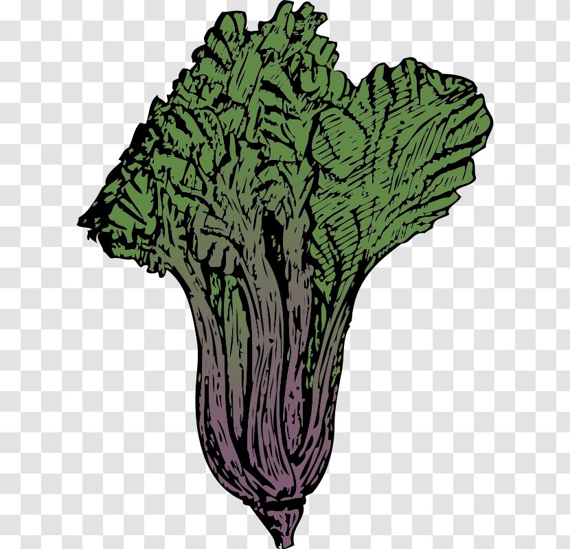 Chard Clip Art - Organism - Vegetable Transparent PNG