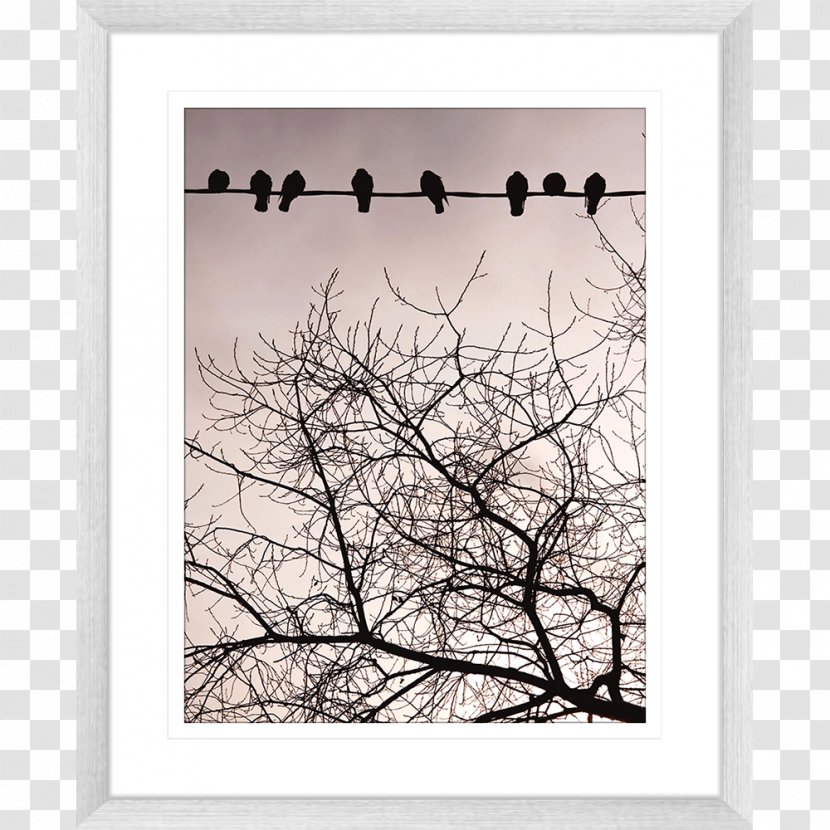 Picture Frames - Bird - Swa Transparent PNG