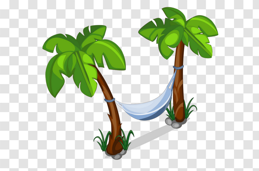 Palm Tree Transparent PNG