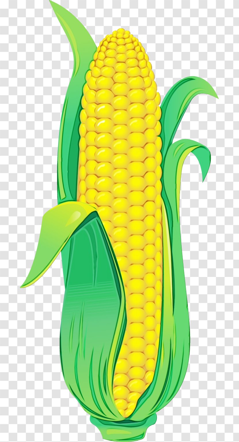 Corn On The Cob Green Yellow Sweet - Footwear - Vegetable Shoe Transparent PNG
