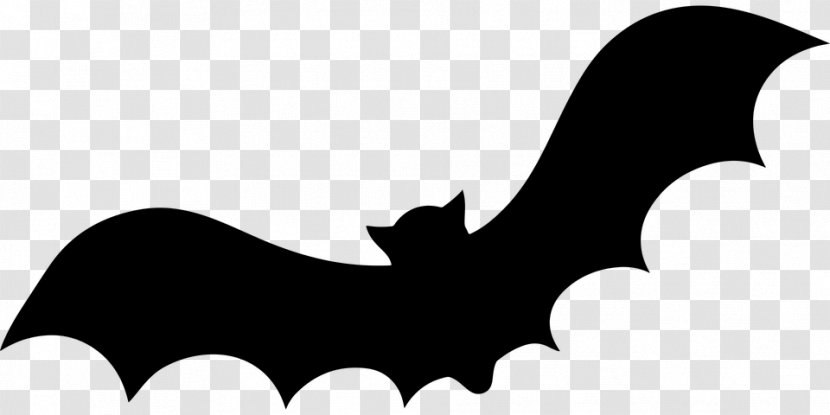 Bat Silhouette Clip Art - Stencil Transparent PNG