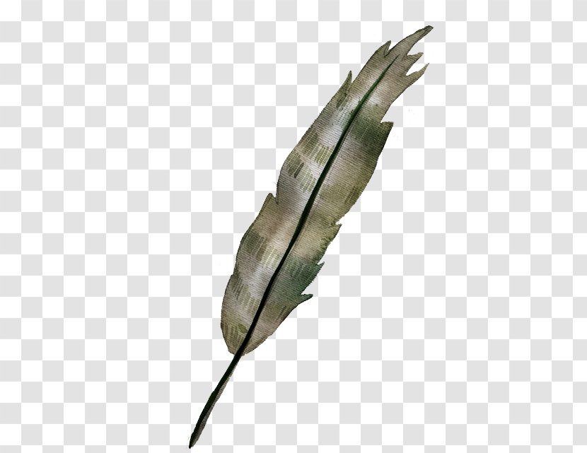 Watercolor Painting - Leaf - Feather Transparent PNG