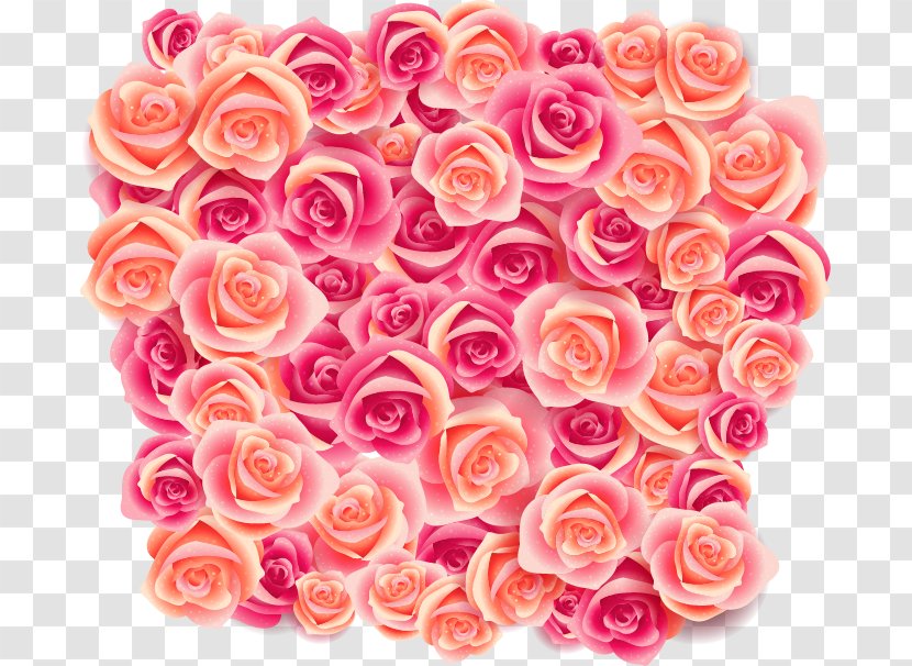 Beach Rose Rosa Pisocarpa Wallpaper - Cluster Pattern Transparent PNG
