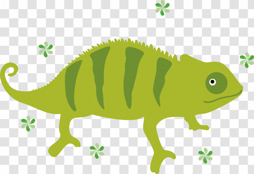 Chameleon Transparent PNG