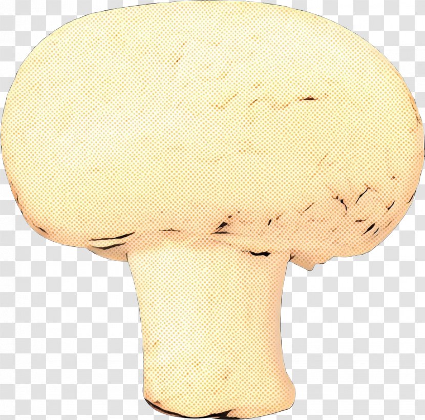 Agaricaceae - Agaricus - Agaricomycetes Transparent PNG