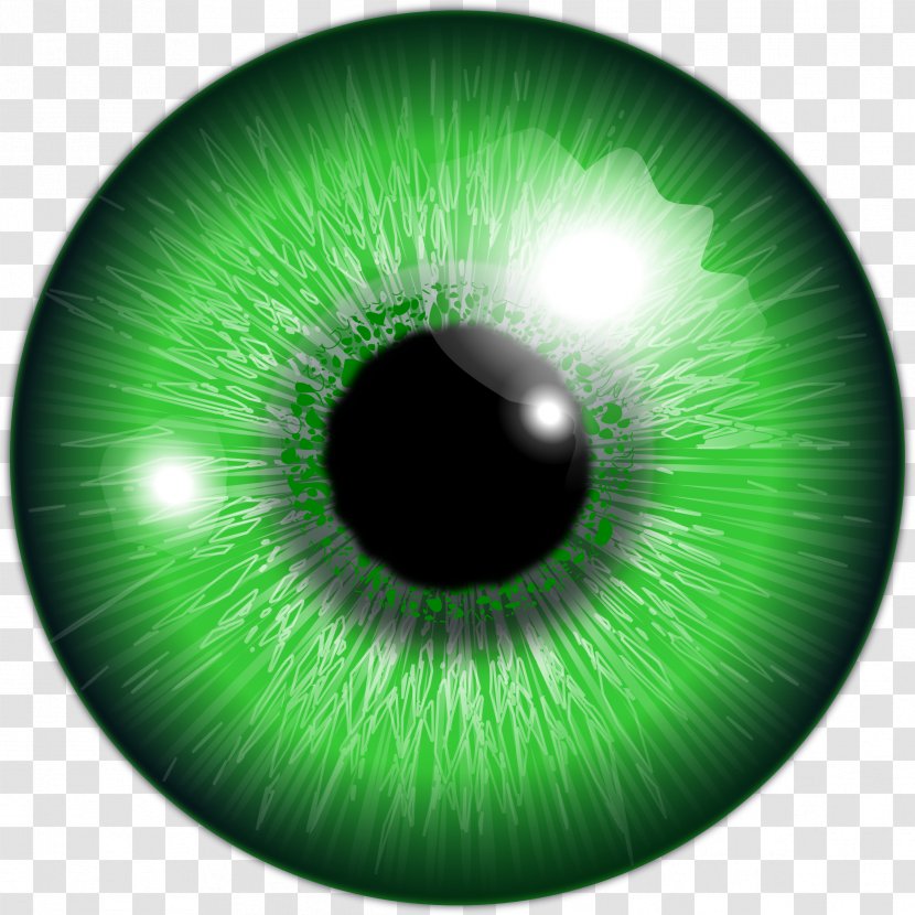 Iris Human Eye Green Clip Art - Silhouette Transparent PNG