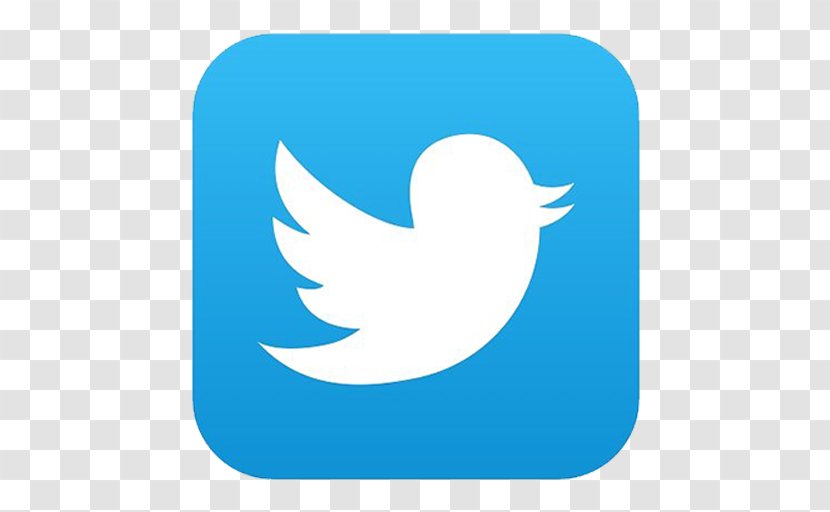 Newseum Social Media Logo Restaurant - Bird - Arara Sur Fond Noir Transparent PNG