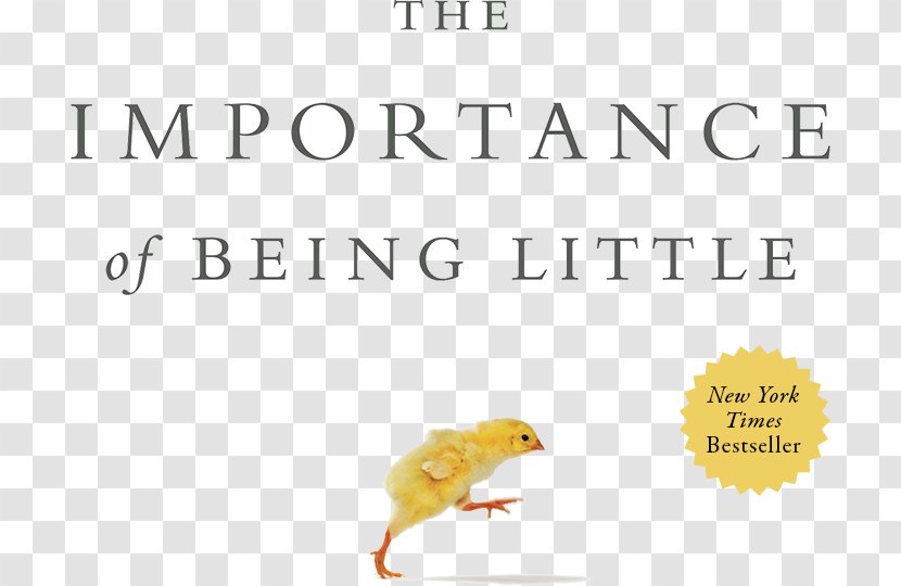 The Importance Of Being Little Amazon.com Book Einstein Never Used Flash Cards: How Our Children Really Learn--and Why They Need To Play More And Memorize Less - Erika Christakis Transparent PNG