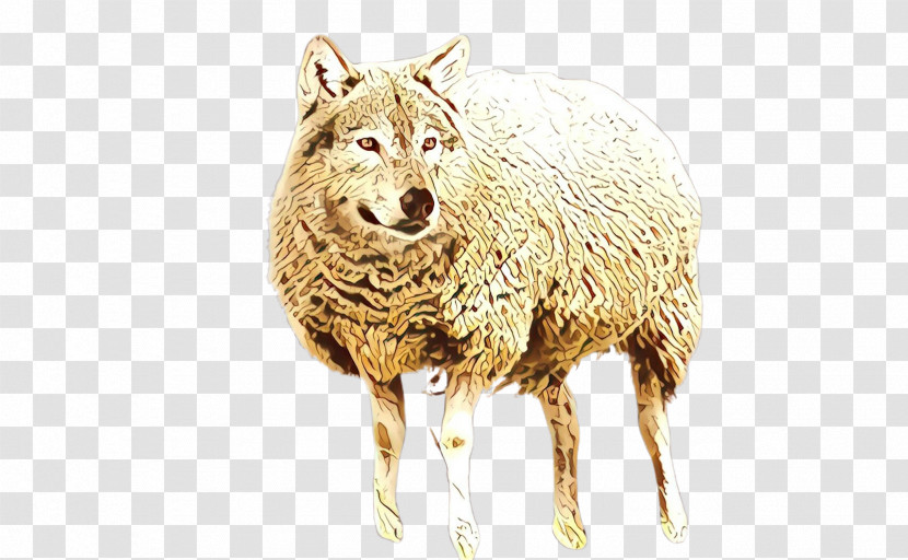 Sheep Sheep Wildlife Livestock Transparent PNG