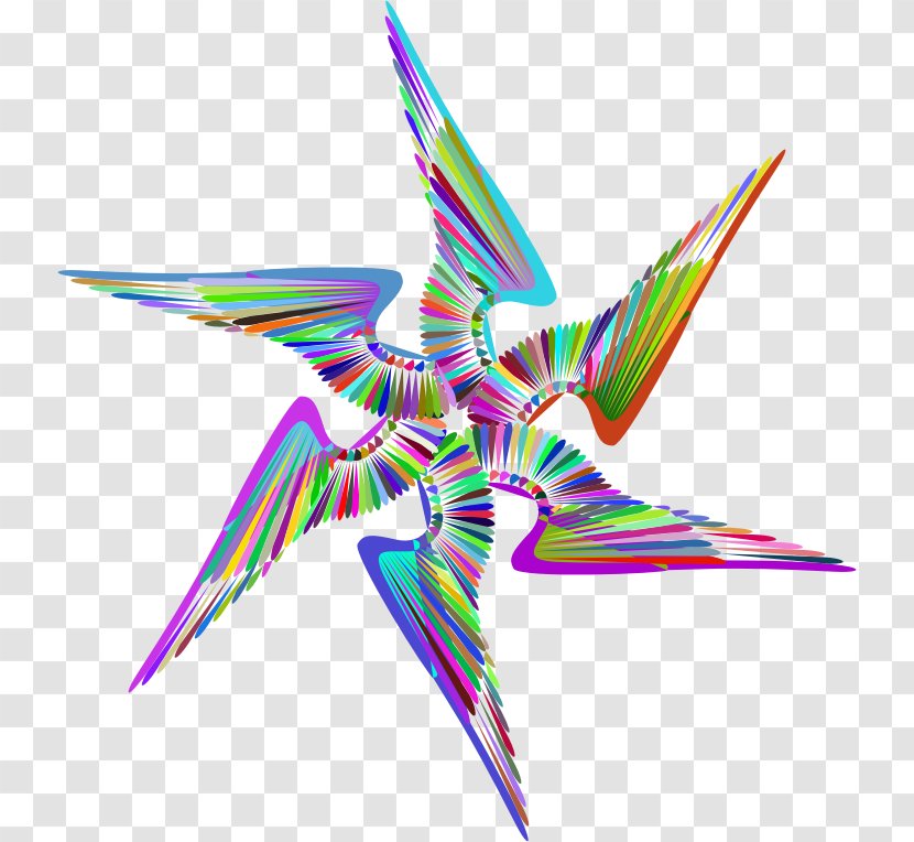 Clip Art Image - Symmetry - Bird Transparent PNG