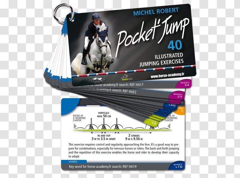 Horse Show Jumping Equestrian Training Author Transparent PNG