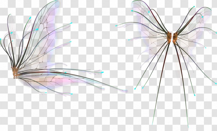 Insect PhotoScape Adobe Photoshop Graphics Image - Wing Transparent PNG