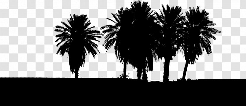 Tree Arecaceae Clip Art - Monochrome Photography Transparent PNG