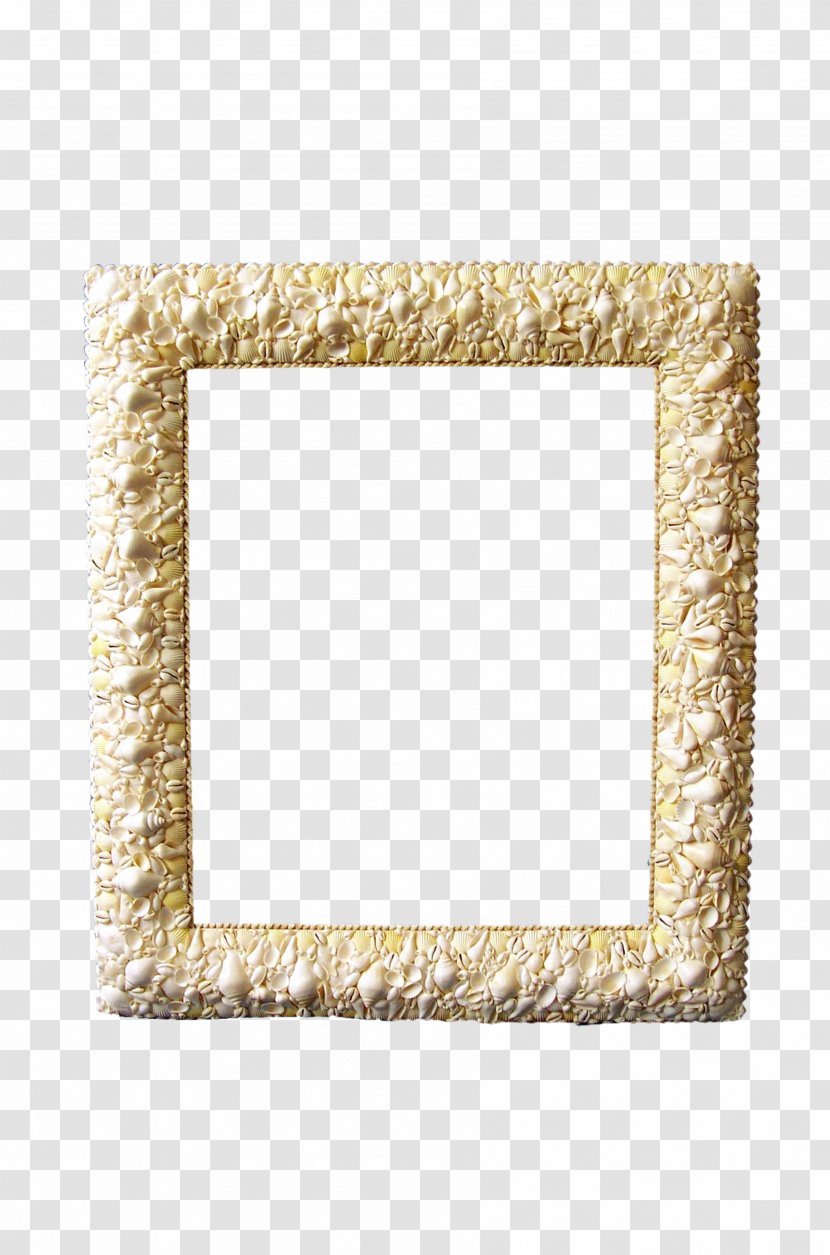 Picture Frame Photography Digital Photo - Text - Shell Transparent PNG