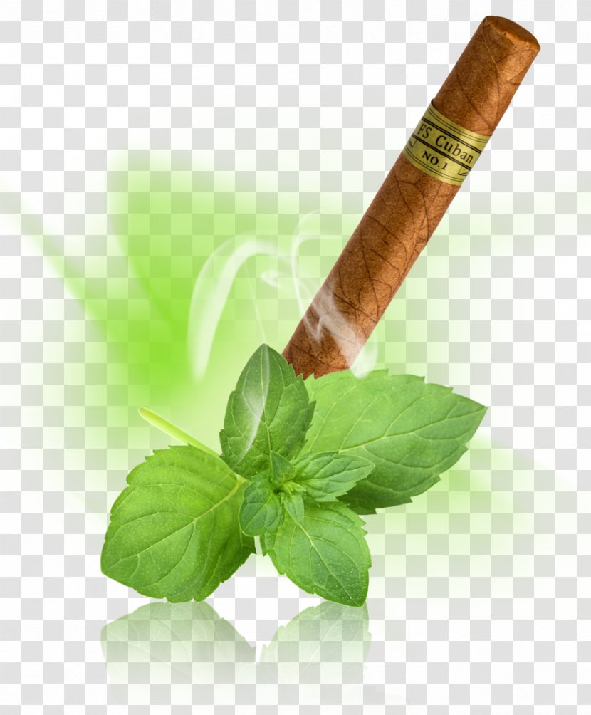 Electronic Cigarette Tobacco Aroma Herb - Shopping Cart - Wassermelone Transparent PNG
