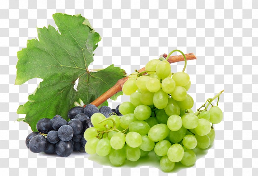 Apple Juice Common Grape Vine Must - Black Summer Foliage Green Grapes Transparent PNG