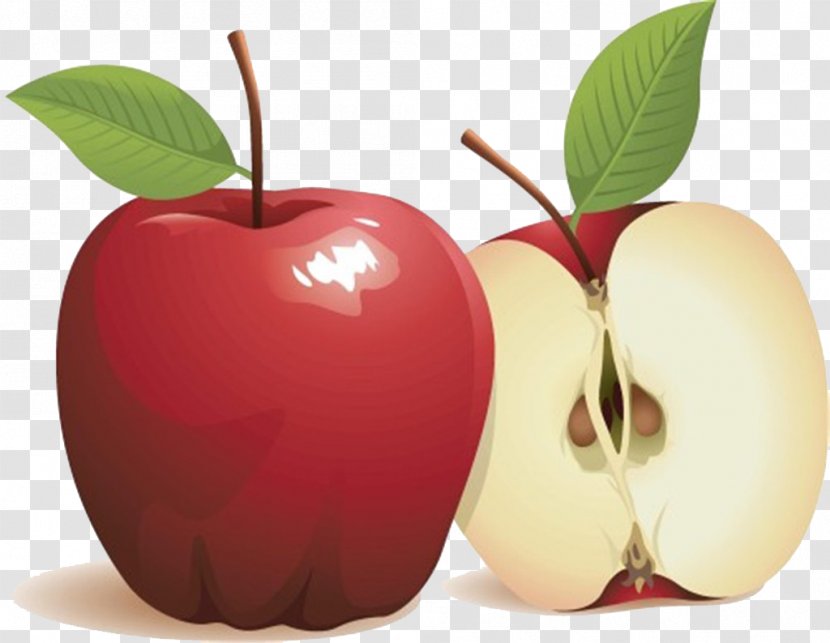 Apple Fruit Stock Photography Clip Art - HD Transparent PNG