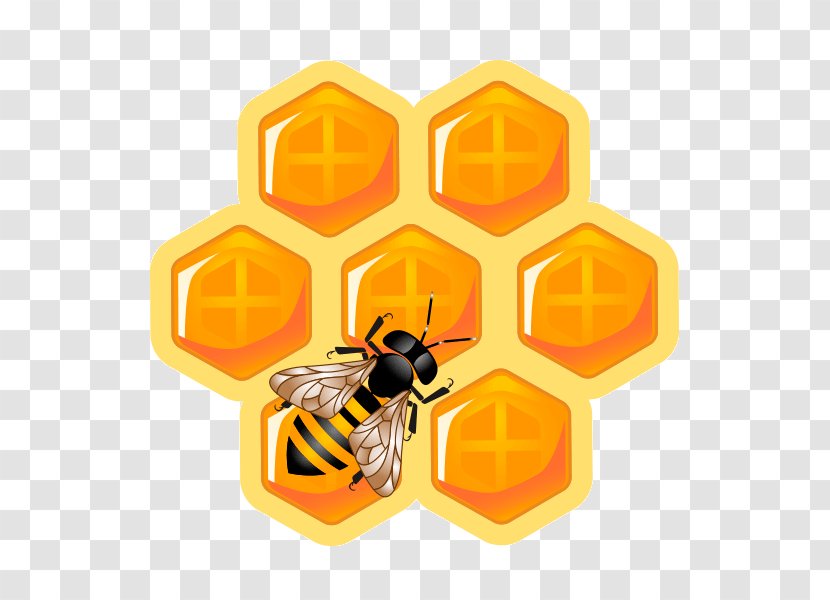 Honey Bee Honeycomb Maya Beehive Transparent PNG