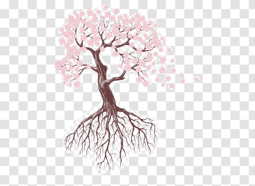 Cherry Blossom Tree Drawing - Woody Plant - Line Art Hydrangea Transparent PNG